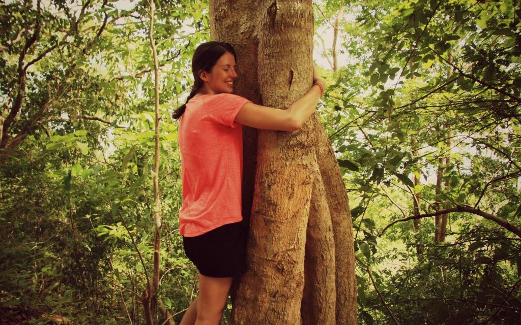 Faire un cÃ¢lin Ã  un arbre ou la SylvothÃ©rapie