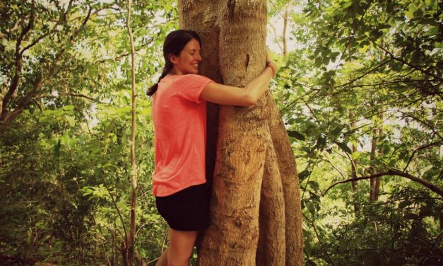 Faire un câlin à un arbre ou la Sylvothérapie